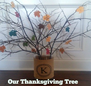 our thanksgiving tree